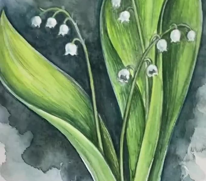 create-a-botanical-illustration-in-the-traditional-watercolor-technique